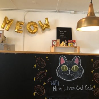 Nine Lives Cat Cafe - Coffee & Tea Near Me - Indianapolis, Indiana Nine Lives Cat Cafe - Coffee & Tea Near Me - Indianapolis, Indiana
