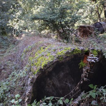 Castle Rock State Park - Parks Near Me - Los Gatos, California Castle Rock State Park - Parks Near Me - Los Gatos, California