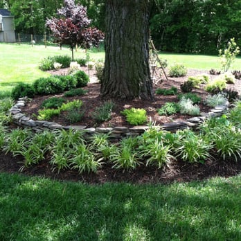 Hanover Lawn & Landscaping - a tree in the middle of a flower bed - Landscaping Near Me - Doswell, Virginia Hanover Lawn & Landscaping - a tree in the middle of a flower bed - Landscaping Near Me - Doswell, Virginia