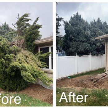 Ohlinger Tree Trimming - Tree Services Near Me Ohlinger Tree Trimming - Tree Services Near Me
