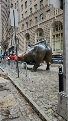 Charging Bull by null