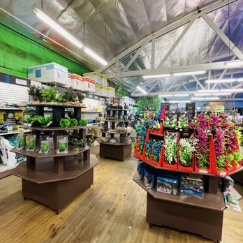 The Ocean Floor - Supplies - Pet Stores Near Me - Phoenix, Arizona
