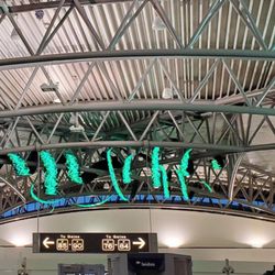 TSA Checkpoint F - Tampa International Airport - Cool lighting ribbon above the TSA checkpoint that changes to vines and flowers.