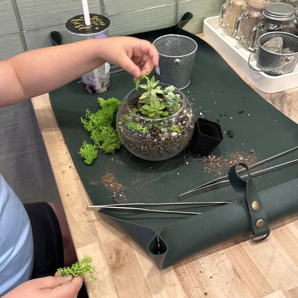Plant Me Studio - Succulent bowl making in action at Plant Me Studio - Nurseries & Gardening Near Me - Clovis, California