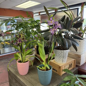 Aladdin Flowers - Florists Near Me - Santa Ana, California Aladdin Flowers - Florists Near Me - Santa Ana, California
