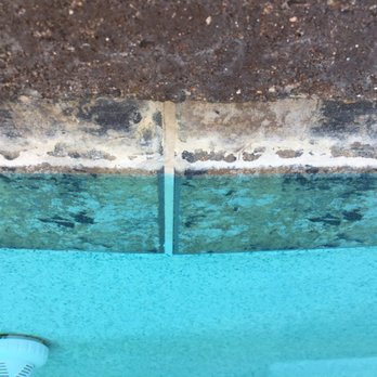 Pool Tile Dr - Before. We didn't even know what color the tile was supposed to be! - Pool & Hot Tub Service Near Me Pool Tile Dr - Before. We didn't even know what color the tile was supposed to be! - Pool & Hot Tub Service Near Me