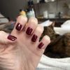 Herbal Nails Organic Salon gift card