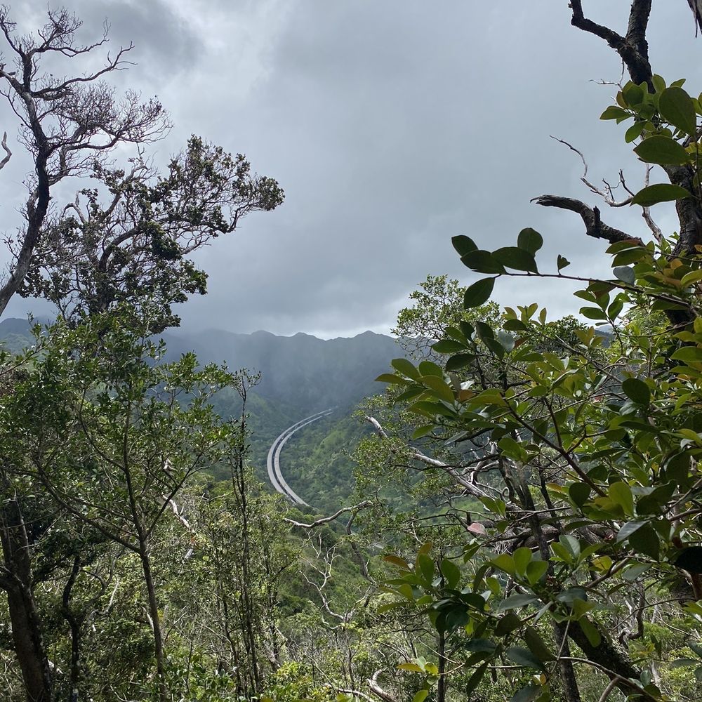Aiea Loop Trail - H3 views! - Hiking Near Me - Aiea, Hawaii