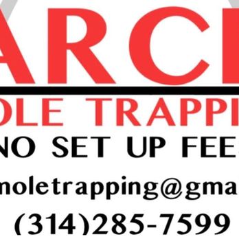 Arch Mole Trapping - Pest Control Near Me - Charles, Missouri Arch Mole Trapping - Pest Control Near Me - Charles, Missouri