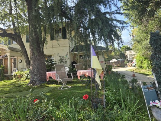 Rose Tree Cottage by null