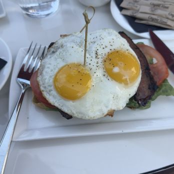 Goat Tree - Cafes Near Me - Santa Barbara, California Goat Tree - Cafes Near Me - Santa Barbara, California