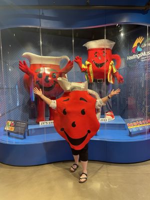 Hastings Museum by null