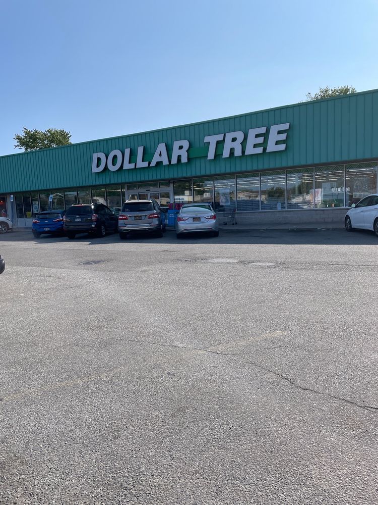 DOLLAR TREE Updated July 2024 36 Photos 430 Jerusalem Ave, Hicksville, New York Discount