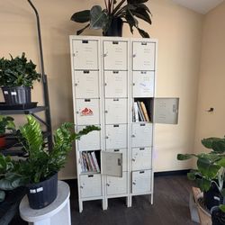 The Jungle Room Plant