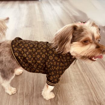 Tailwaggers of AV - My 6 years old baby girl. - Pet Groomers Near Me - Lancaster, California Tailwaggers of AV - My 6 years old baby girl. - Pet Groomers Near Me - Lancaster, California