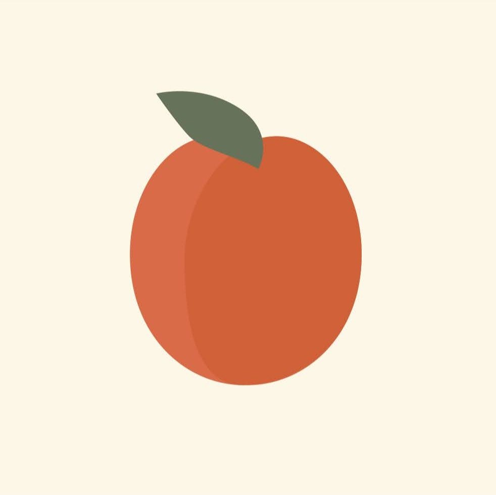 Apricott ABA - grief counselor in Marietta, GA