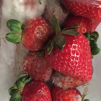 The Grocery - Mouldy produce, 1st carton - Grocery Near Me - London, XGL The Grocery - Mouldy produce, 1st carton - Grocery Near Me - London, XGL