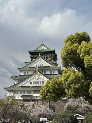 Osaka Castle Park by null