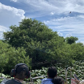 Wild Willy's Airboat Tours - Nesting birds - Boat Tours Near Me - Saint Cloud, Florida