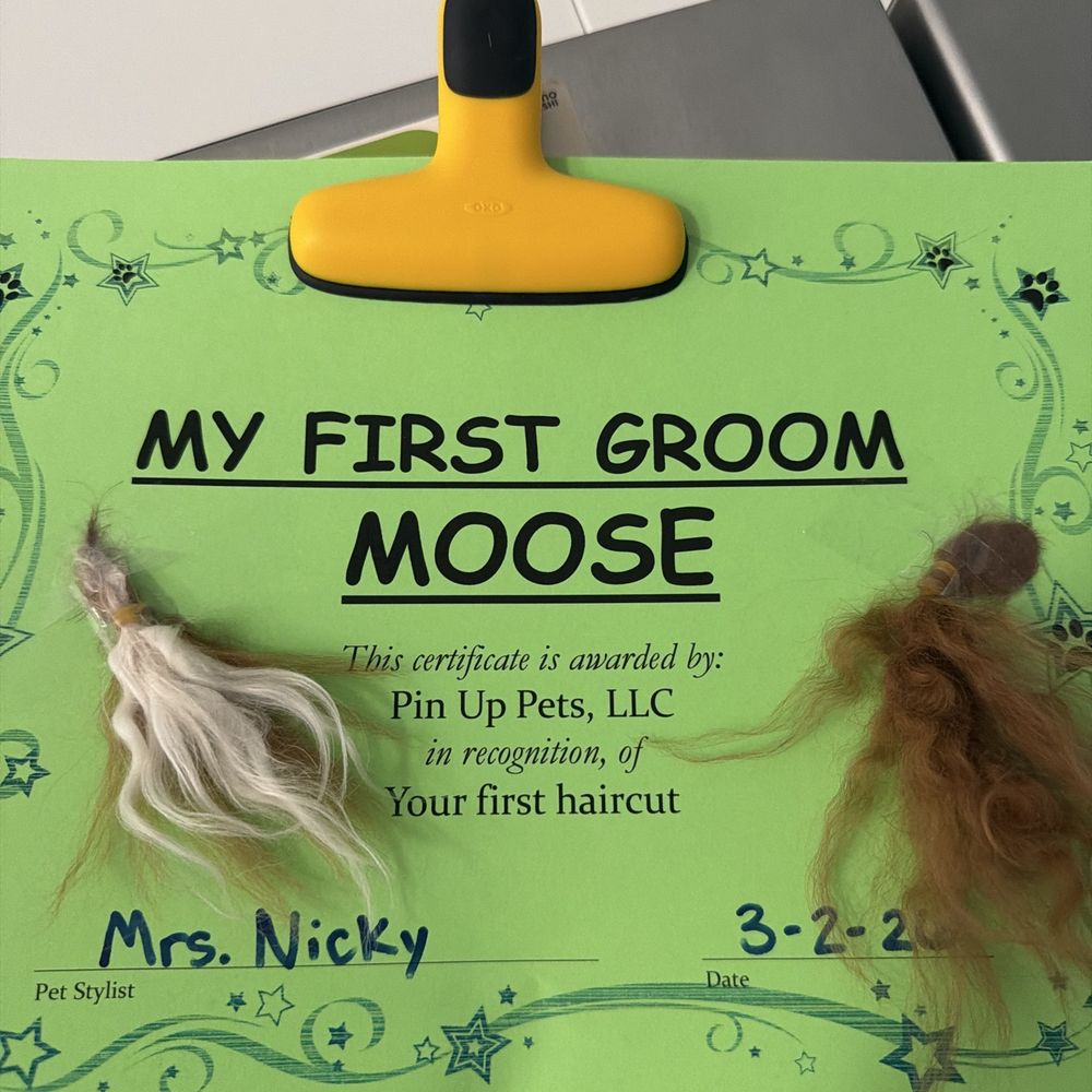 Pin Up Pets - Pet Groomers Near Me - Chandler, Arizona Pin Up Pets - Pet Groomers Near Me - Chandler, Arizona
