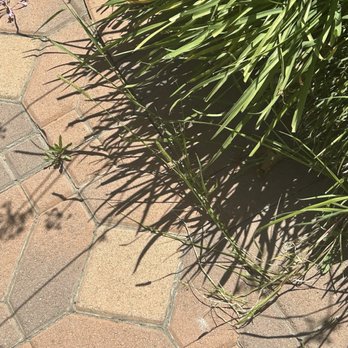 Damian Landscaping - Edging? - Masonry/Concrete Near Me Damian Landscaping - Edging? - Masonry/Concrete Near Me