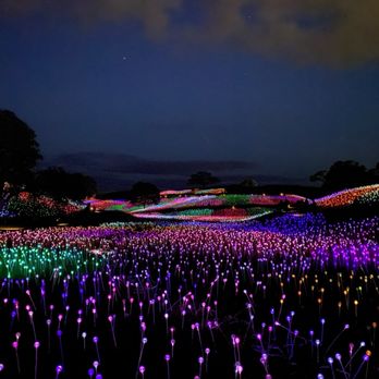 Sensorio - Field of lights - after sunset - Art Galleries Near Me - Paso Robles, California Sensorio - Field of lights - after sunset - Art Galleries Near Me - Paso Robles, California