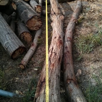 Jose Martinez Tree Service - 6 foot long - Tree Services Near Me - Placentia, California Jose Martinez Tree Service - 6 foot long - Tree Services Near Me - Placentia, California
