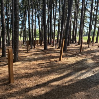 Dorothea Dix Park - hammock park! - Parks Near Me - Raleigh, North Carolina
