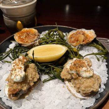 Bludorn - Oysters - New American Near Me - Houston, Texas Bludorn - Oysters - New American Near Me - Houston, Texas