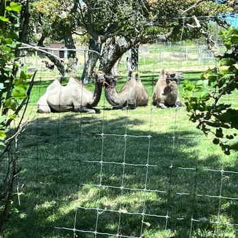 Schreiner Farms - Schreiner Farms - Zoos Near Me - Lyle, Washington Schreiner Farms - Schreiner Farms - Zoos Near Me - Lyle, Washington