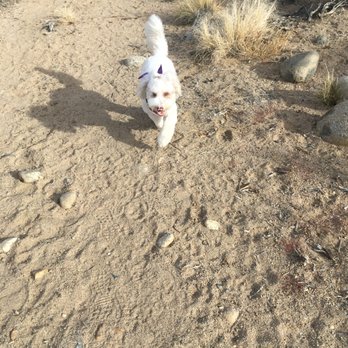 Eastern Sierra Grooming Company - Pet Groomers Near Me - Bishop, California