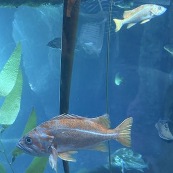 Oregon Zoo - Zoos Near Me - Portland, Oregon Oregon Zoo - Zoos Near Me - Portland, Oregon