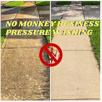 No Monkey Business Pressure Washing - From Slimy and Green to Pressure Washed Clean - Pressure Washers Near Me No Monkey Business Pressure Washing - From Slimy and Green to Pressure Washed Clean - Pressure Washers Near Me