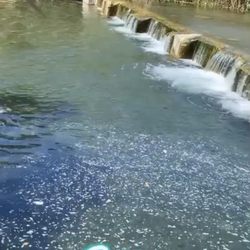 Foster Park - The small waterfall of the river