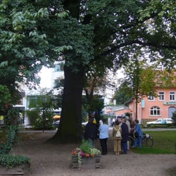 Adenauerallee
