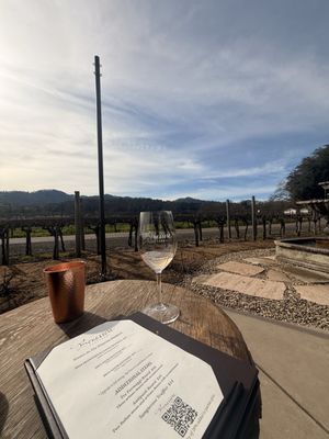 Benessere Vineyards by null