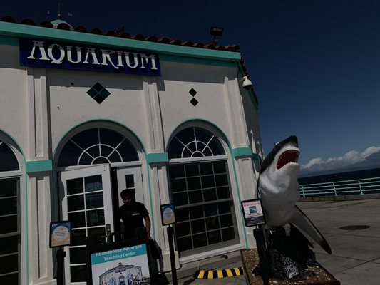 Roundhouse Aquarium And Teaching Center 388 Photos 72 Reviews Museums 2 Manhattan Beach Blvd Manhattan Beach Ca United States Phone Number Yelp