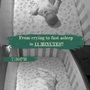 Photo of Dreaming Littles