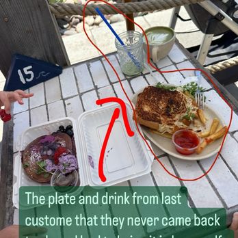 Blue Whale - Cafes Near Me - La Jolla, California Blue Whale - Cafes Near Me - La Jolla, California