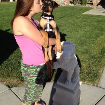 Four Paws Inn - 10 weeks old - Pet Sitting Near Me - Banning, California