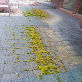 Omni Carpet and Window Cleaning - Before - Carpet Cleaning Near Me - Sandpoint, Idaho Omni Carpet and Window Cleaning - Before - Carpet Cleaning Near Me - Sandpoint, Idaho
