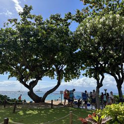 Barefoot Bar - View from Sand Bar