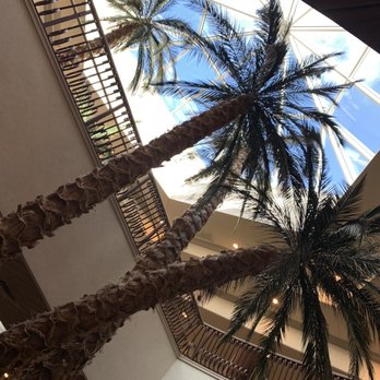 Tropicale - American Near Me - Orlando, Florida