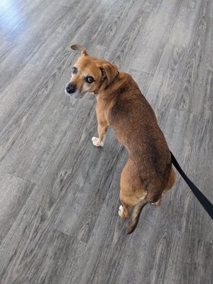 Ridgehill Animal Hospital