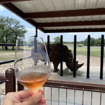 Rhinory - Wineries Near Me - Fredericksburg, Texas Rhinory - Wineries Near Me - Fredericksburg, Texas