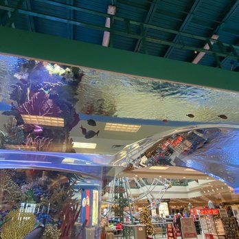 Scheels - Sports Wear Near Me - Sandy, Utah