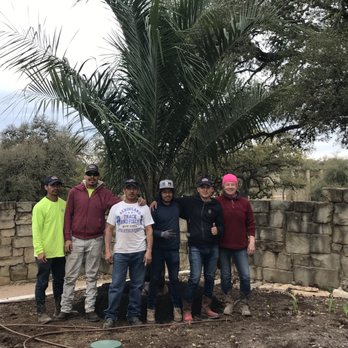 Moon Valley Nurseries - Moon valley nursery team standing with Mule palm tree they planted for me. - Nurseries & Gardening Near Me - Austin, Texas