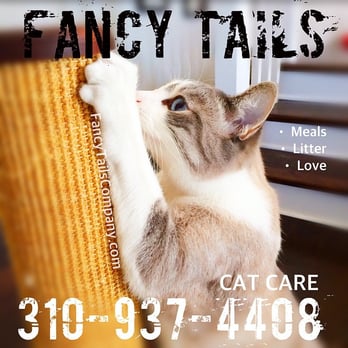 Fancy Tails - Puffer - Dog Walkers Near Me - Hermosa Beach, California