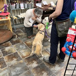Doggie Delights on Broadway - Charlie getting fit for snow boots. Great owner and one of his dogs.