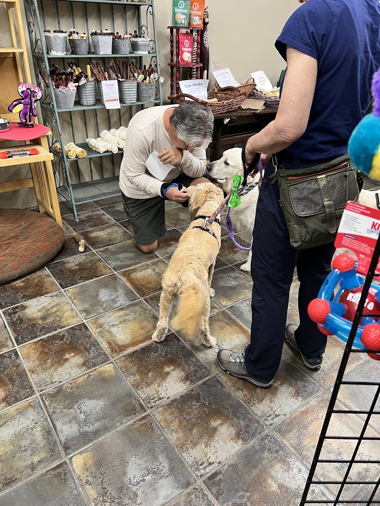 Doggie Delights on Broadway Image